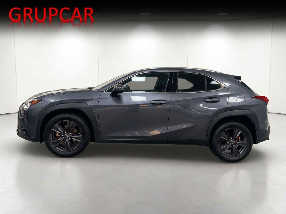 Lexus UX 300 h foto miniatura