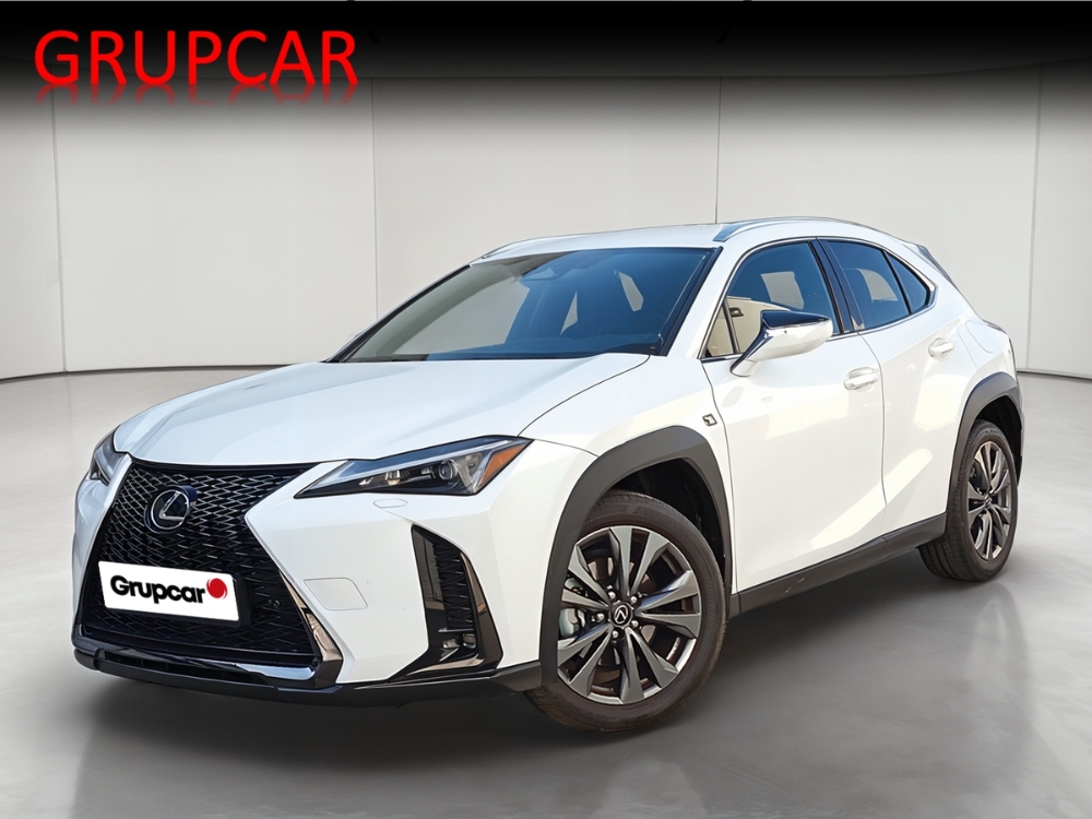 Lexus UX 300 h foto miniatura